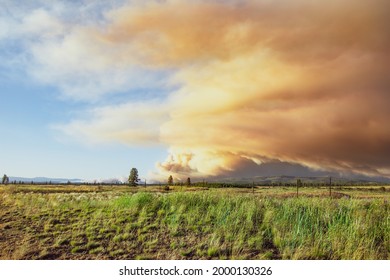 Summer Wildfire In Central Oregon