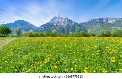 201,775 Nature Of Bavaria Images, Stock Photos & Vectors 