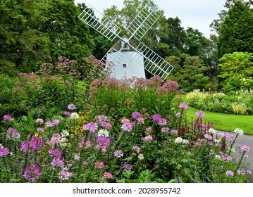 Summer Windmill Garden Cape Cod Massachusetts