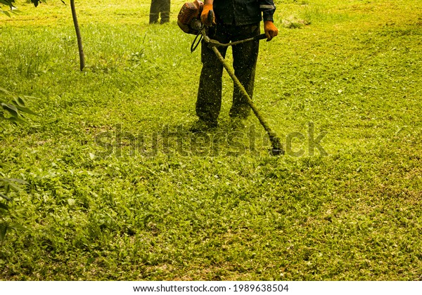 Summer work in the\
park. The gardener is cutting the grass. A man uses a lawn trimmer\
without protective\
cover.