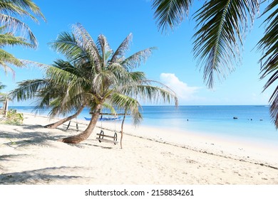 Summer,calm Swing Under Coconut Tree