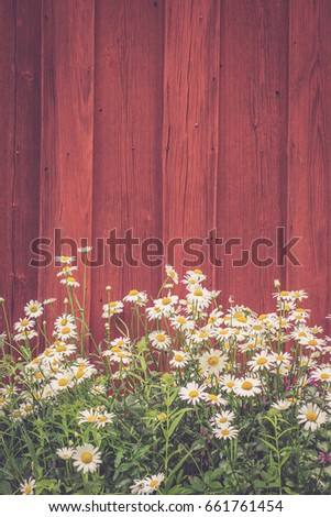 Summerflower