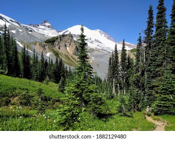 Summerland Trail, Mt Rainier National Park