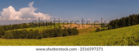 Summerlandscape with Rolling Hills and Dramatic Cloud in the Mostviertel, Lower Austria