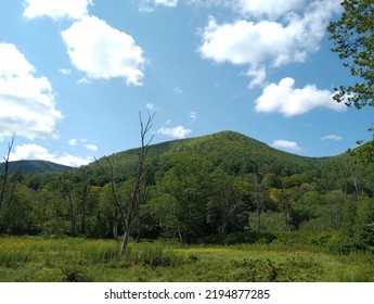 Summertime Nature Pennsylvania Mountains Scenery 