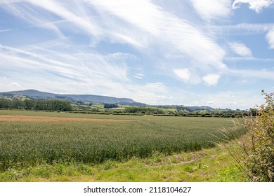 Summertime Scenery Around Mid Wales, UK.