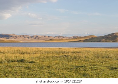 Summertime in steppe, Kazakhstan. Tuzkol lake in summer - Shutterstock ID 1914521224