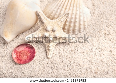 Summertime textured background with white star fish, shells and red glass pebbles on the white sand.