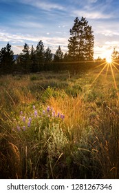 Summit County Sub Burst