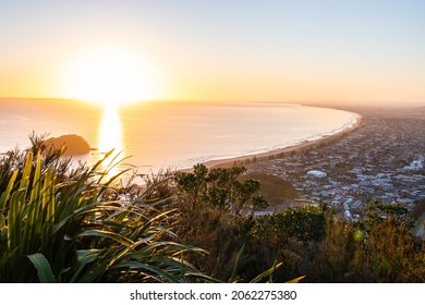 From the summit of Mount Maunganui at daybreak foreground flax catching golden glow of rising sun, distant horizon and long leading coastline of Bay of Plenty, New Zealand.