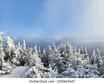 Summit of Mount Tecumseh in the Winter