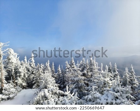 Summit of Mount Tecumseh in the Winter