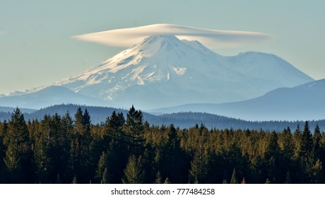 are dogs allowed in mount shasta