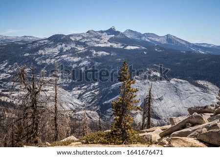 Similar – Image, Stock Photo Summit in the fog