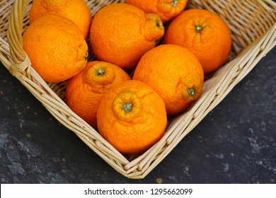 Sumo Citrus Giant Mandarin Orange Fruit