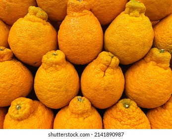 Sumo Citrus Grown In USA