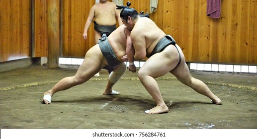 Бойцы сумо и борцы сумо тренируются в конюшнях сумо, готовятся к турниру сумо в Токио, Япония