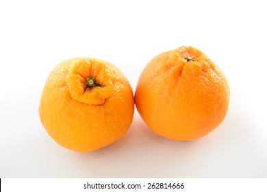 Sumo Mandarin