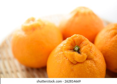 Sumo Mandarin