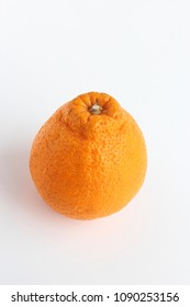 Sumo Mandarin Orange