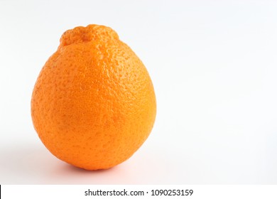 Sumo Mandarin Orange