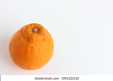 Sumo Mandarin Orange