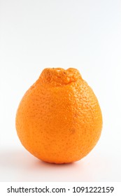 Sumo Mandarin Orange