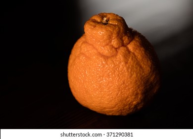 Sumo Orange