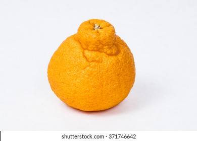 597 Sumo oranges Images, Stock Photos & Vectors | Shutterstock