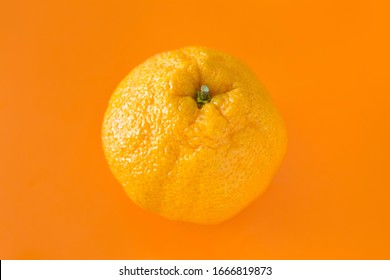 Sumo Orange On Orange Background