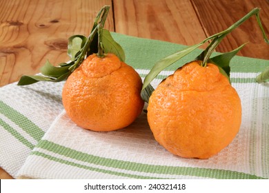 Sumo Oranges With Leaves, A Sweet Seedless Orange That Is A Cross Between A Mandarin And A California Navel Orange