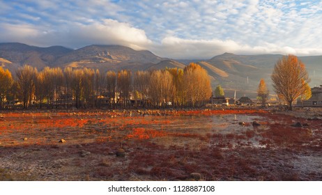 Sumo Red Grass Wetlands, Daocheng, China, Shangri La, 