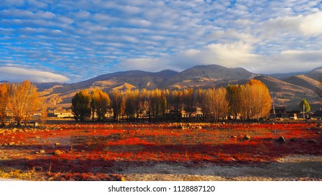 Sumo Red Grass Wetlands, Daocheng, China, Shangri La, 