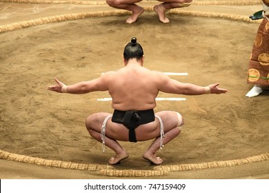 Сумо Спорт человек В финальном раунде соревнований по японскому турниру по сумо, Токио
