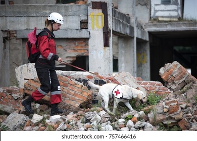 SUMY REGION, UKRAINE - August 20, 2015: Medic With A Dog Looking For Victims Under The Rubble During Exercises In The Educational Center Of The State Emergency Service In Sumy Region, Ukraine.