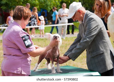 SUMY, UKRAINE - JUNE 27: Judge Examines The Dog In Dog Show 27, 2010 In Sumy, Ukraine