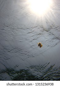 Sun is up