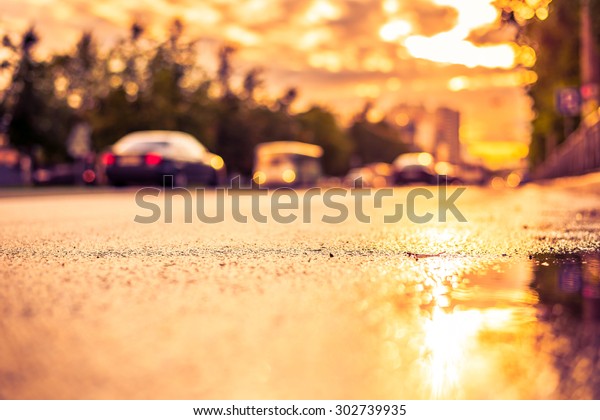 Sun after the rain in the city, view of the cars
with a level of puddles on the pavement. Image in the yellow-purple
toning