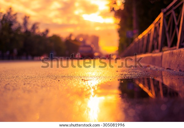 Sun after the rain in the city, view of the cars\
with a level of puddles on the pavement. Image in the soft\
orange-purple toning