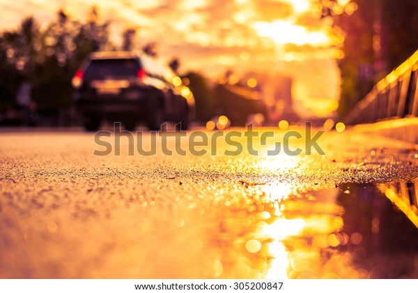 Sun\
after the rain in the city, view of the car with a level of puddles\
on the pavement. Image in the yellow-purple\
toning