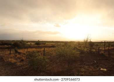 Sun in the background with fields in front, African farm