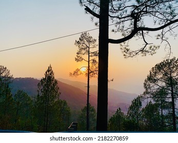 Sun Behind Branches Of Tree Going Downhill