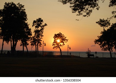 Sun Behind a Tree