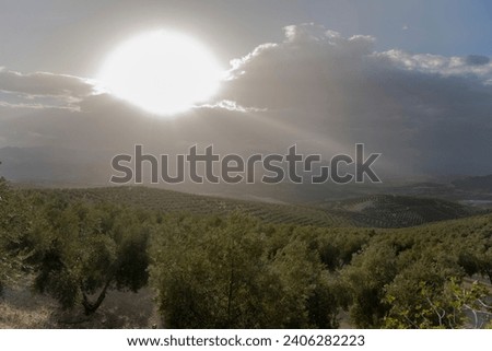 The sun breaks the clouds over the olive groves of Andalusia, Spain