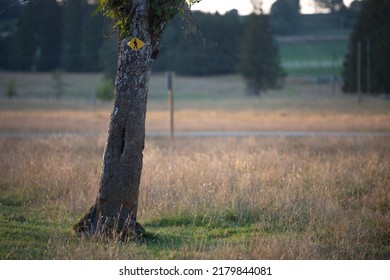 Sun Burnt Grass Orange With Hiking Path Sign In Switzerland Jura Tourism