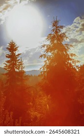 Sun casting beautiful rays of light through the trees. Vibrant rays of sunlight in hazy meadow. Yellow sunrise with fog in summer. Vertical image.