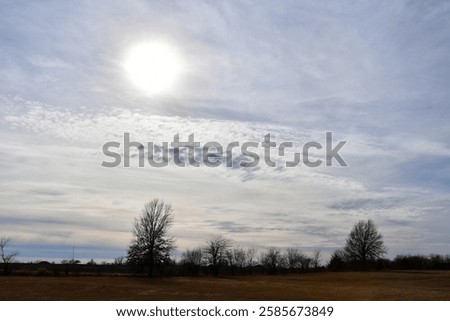 Similar – Image, Stock Photo Clouds over tree Nature