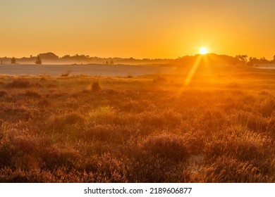 The Sun Coming Up Over The Trees At Sunrise