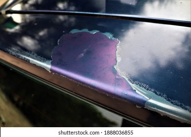 Sun Damage Seen On The Roof Of A Vehicle .This Has Caused The Clear Coat Of Paint To Peel Off From The Body Of The Car.