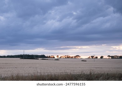 Sun dips behind distant trees as clouds gather over the fields. Pastoral landscape, sunset.